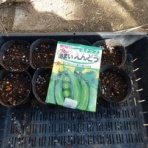 毎日が日曜　晴耕雨読な日々