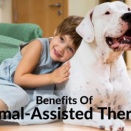 台湾　障害児の乗馬セラピー