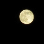 せせらぎ　めも