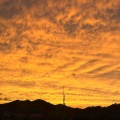 10月の信楽はイベント盛りだくさん