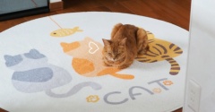 “猫柄マット”購入
