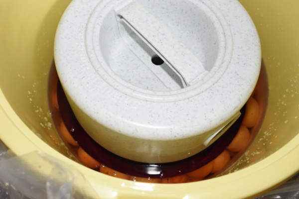 あほ るどまんせ