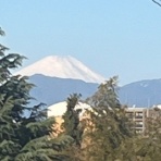 太郎坊のそよ風