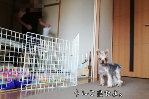 どらどらどら ぎん 19