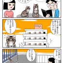 ニャーの話 #05 ミャーについての報告書