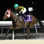 がんばれ！ホッカイドウ競馬　.blog