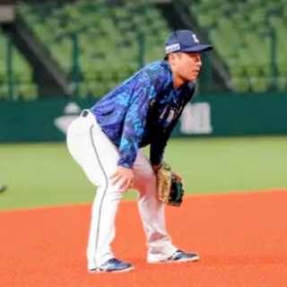 埼玉には何もない。＠埼玉西武ライオンズブログ