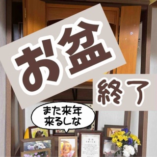 メルロコ一家の横須賀ストーリー