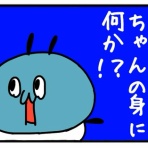 ぽぴぴとモフモフねこちゃんズの暮らし