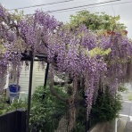 吉永隆山の篆刻（てん刻）ブログ