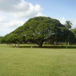 東麻美のオフィシャルブログ～スポーツボイス・歌～