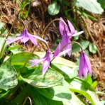 hirobouの田舎暮らし・・・