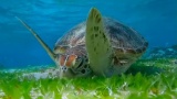 【悲報】ワイ2泊の家族旅行で30万かかるｗｗｗ