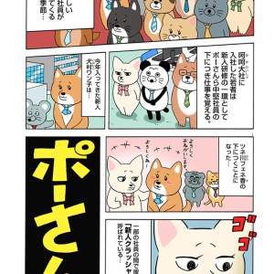 絶滅寸前の動物ハッチンパモス「パモラ」 : キューライス記 Powered by