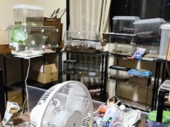 【画像】ミニマリストが見たら気絶しそうなワイの部屋を晒す