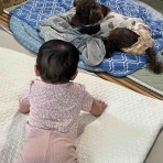 サクラと孫ちゃん
