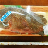 『国東の食環境（454）アコウ』の画像