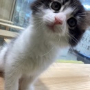 ノルちゃん💕