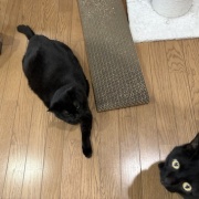 まだまだ若々しいスミちゃん