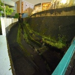 夜散歩のススメ