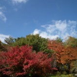 ��11��6�������й��ե��̡��ĥ����٤β���