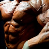 �ͤ�ȩ�κƸ�