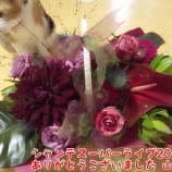 �إ����ƥ����ѡ��饤��2016����λ���ޤ����٤β���