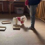 れい＆らな＆りん・・・＆れな♪