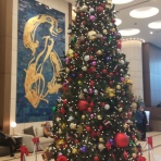 空手道 栄光会館（三郷市戸ヶ崎・新三郷．八潮市）