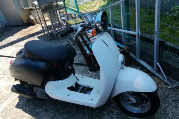 猫のラーメン屋さん、今は焼き芋屋さん、山田三毛猫 - 猫のバイクいじり