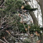 青空が好き！（私の本の世界）