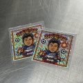WOSO Retro Socks - Japan National Team