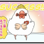 雛ちゃん、ころんころ〜〜ん その4