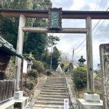 『【桜井市池之内】履中天皇の磐余稚桜宮跡地 桜の花びらが導いた神話の地・稚櫻神社』の画像