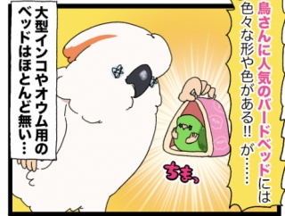 大型インコちゃん、バードベッドを自作……？🧐