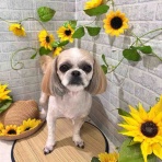 ゆうなぎ動物病院