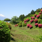 城めぐりの記録