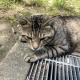ワイ 通勤中に体調を崩し公園で休憩