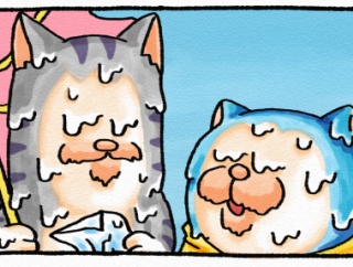 上手くいかない事もあるけれど【メロとタビ】