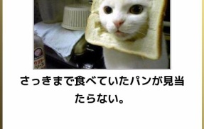 【画像】深夜に見ると笑いが止まらなくなる画像貼ってけｗｗｗｗ