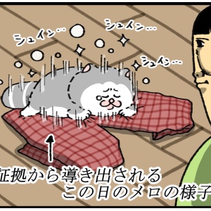 今急にここでくつろぎたい奴 : まめきちまめこニートの日常 Powered by