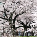 東京マドリエクラブからの快適住まいづくりレポート