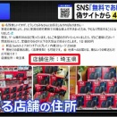 2000円でペットカート譲渡のはずが、49万円の詐欺被害。