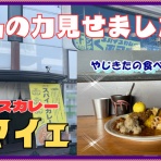 やじきたの食べたい放題！