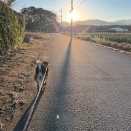 天気が良さそうだ