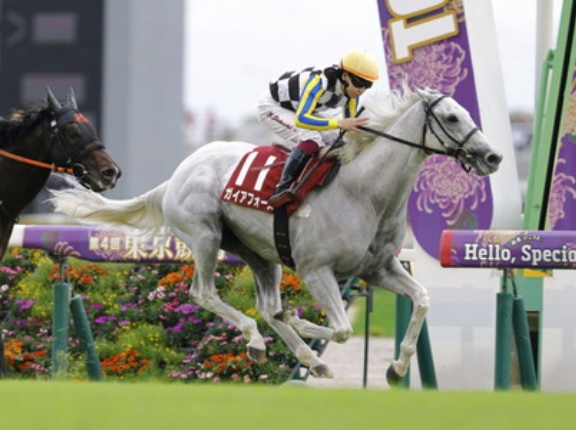 【競馬予想】[1] 第42回マイルチャンピオンシップ(GⅠ) /2025