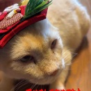 2026新年明けましておめでとうございます！