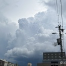 本気では投げられず――