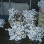 わがままパパの手仕事日記