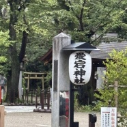 頑張ってはみたけれど…